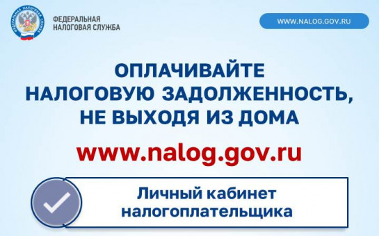 Как узнать о наличии налоговой задолженности и погасить ее