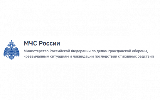Добровольчество (волонтерство) в МЧС России