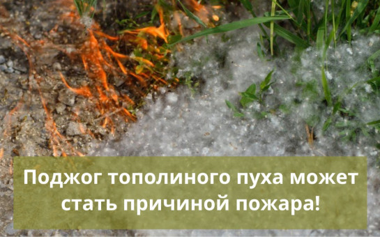 Меры пожарной безопасности для детей в летний период