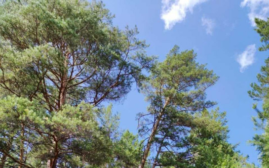 Эксперты регионального Роскадастра рассказали о значении ЕГРН в деле охраны природы