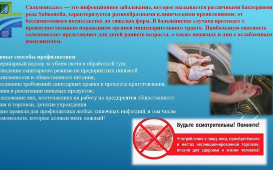 Заболеваемость острыми кишечными инфекциями (ОКИ) и Сальмонеллез